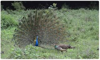 ప్రతీకారం తీర్చుకున్న సైన్యం.. పాక్ సైనిక పోస్టు ధ్వంసం