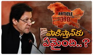 ఆర్టికల్ 370… కేంద్రానికి మద్దతుగా మహారాజు కుమారుడు!