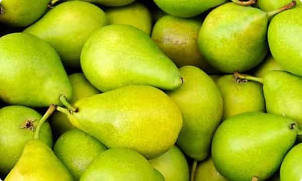 డయాబెటీస్ సమస్యా ? ఇక నో ఫియర్.. ఉందిగా పియర్స్