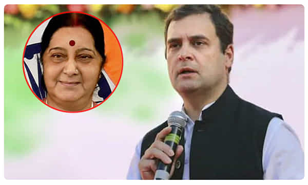 మహానేతను కోల్పోయాం - రాహుల్ గాంధీ