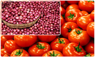 రెండు తలల పాము..దొరికితే పండగే !