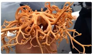 19 ఏళ్లుగా ఆమె అక్కడే జీవిస్తోంది.. ఇంతకీ ఎక్కడో తెలుసా?