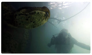 ‘ప్యాన్ ఇండియా’ మైకంలో హీరోలు.. లబోదిబోమంటున్న నిర్మాతలు!