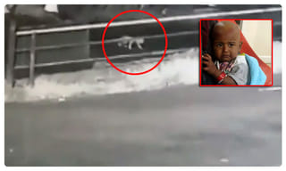 కుప్పకూలిన డైనోసార్.. పర్యాటకులకు తప్పిన ముప్పు