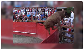 పాములతో పాకిస్తానీ సింగర్..మోదీని బెదిరిస్తూ..