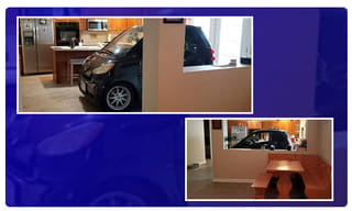 వావ్‌ వానర ప్రేమ!