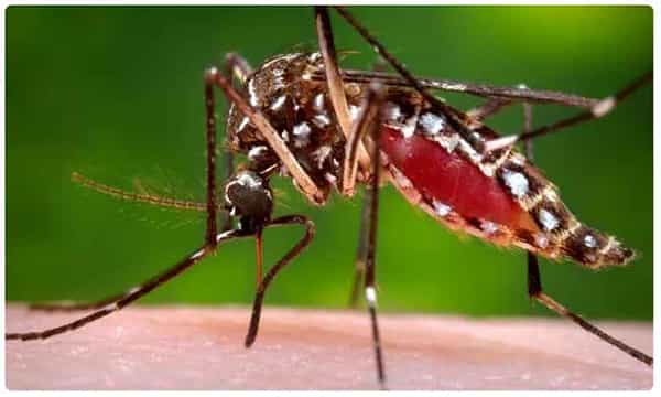 డెంగ్యూ పై టీవీ9 సమరం.. అవగాహన సదస్సులు ఏర్పాటు..