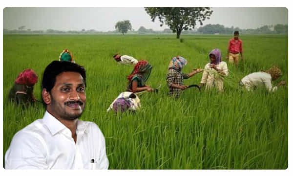 రైతు భరోసా విధి విధానాలు విడుదల.. అర్హులు వీరే