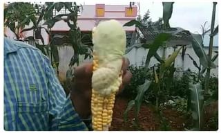 గణేష్ మండపాలకు అలర్ట్.. నేడు, రేపు భారీ వర్షాలు