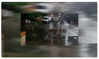 గృహ నిర్మాణాలకు రూ.10 వేల కోట్లు  : కేంద్ర మంత్రి నిర్మలా సీతారామన్