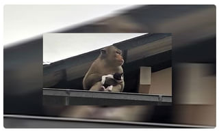 వంటింట్లో కారును దాచేశాడు