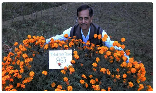 ఒకే ఒక్క బంతి మొక్క 865 పూలు..లిమ్కా రికార్డ్ బ్రేక్