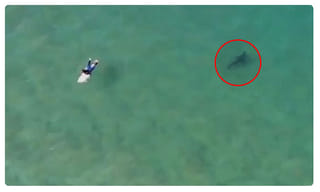 ఎంత పెద్ద గోడ ! ఓకె ! ట్రంప్ సంతృప్తి …