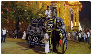 భారత్ వల్లే.. శ్రీలంక క్రికెటర్లు పాక్ రావడం లేదు.. పాక్ మంత్రి