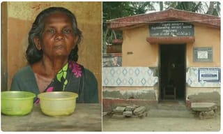 కవలలకు జన్మనిచ్చిన పాండా