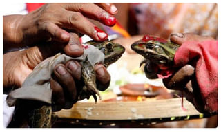 చంద్రబాబు ఇచ్చిన ఛలో ఆత్మకూర్ పిలుపు సక్సెస్ అయిందా..?