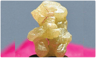 ఫలించిన బెంగుళూరు ‘ ఏస్ట్రోనట్ ‘ ప్రొటెస్ట్.. గుంతలు మాయం