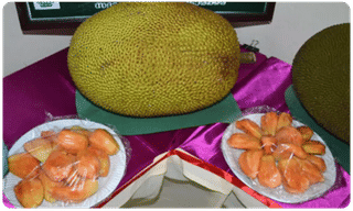 డికాక్షన్‌తో కలిగే లాభాలు తెలిస్తే..ఇక మానరు..