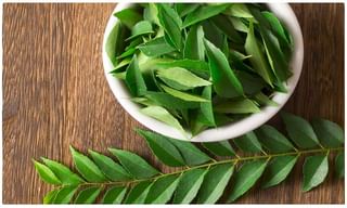 అసలే వర్షాకాలం.. అందులోనూ డెంగ్యూ భయం