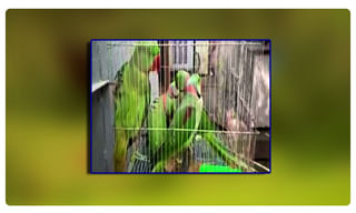 “భారతరత్న” కాంగ్రెస్ కుటుంబానికేనా..? సావర్కర్‌ దేశ భక్తుడు కాదా..?