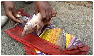 కుటుంబంపై డెంగ్యూ పంజా.. నలుగురు మృతి..!!