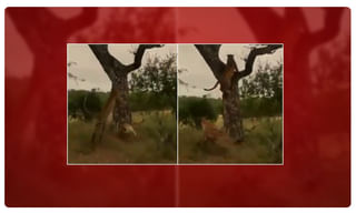 నడిరోడ్డుపై భర్త వేలం.. ‘శుభలగ్నం’ సీన్ రిపీట్