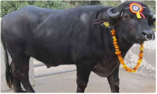 నేడు దేశవ్యాప్తంగా బ్యాంకుల సమ్మె