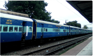 ఇక చెట్ల నరికివేత ఆపండి.. ‘ సేవ్ ఆరే ‘.. సుప్రీంకోర్టు ఆదేశం