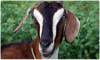 గ‌ణేష్ నిమ‌జ్జ‌నాల‌పై భాగ్య‌న‌గ‌ర్ గ‌ణేష్ ఉత్స‌వ్ స‌మితి కీల‌క నిర్ణ‌యం..