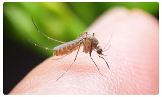 విటమిన్ బి6 ఆరోగ్య ప్రయోజనాలు…!