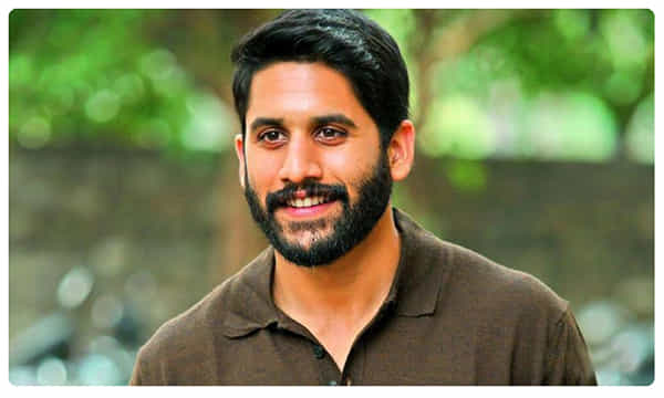 నాకు నచ్చింది... మీరు చూడండి...