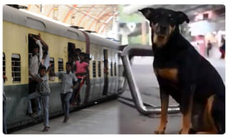 మహా పాలిటిక్స్‌పై.. ఆరెస్సెస్ చీఫ్ సంచలన వ్యాఖ్యలు..