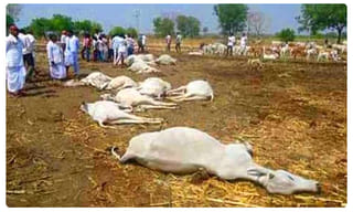 తెలంగాణ ప్రభుత్వం కీలక నిర్ణయం.. హోం క్వారంటైన్ గడువు పెంపు