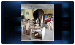 ఇకపై డిగ్రీ నాలుగేళ్లు.. ఇంజనీరింగ్ ఐదేళ్లు.. జగన్ మార్క్ డెసిషన్!