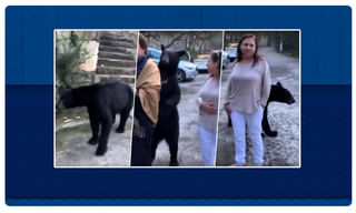 ఓ టిక్‌టాక్‌ వీడియో-అమెరికా, చైనా మధ్య దుమారం