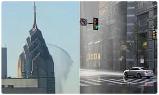 ఏనుగమ్మ ఏనుగు.. కారెక్కింది ఏనుగు !