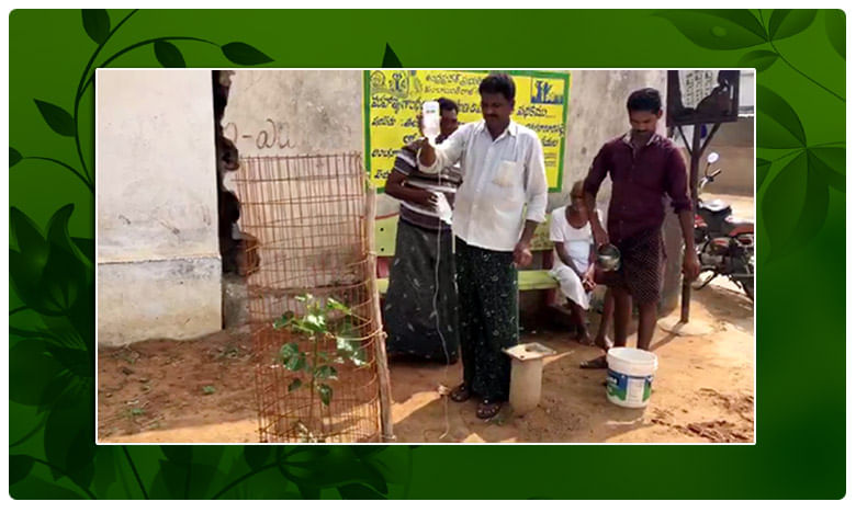 సెలైన్ నీరే మొక్కకు ' ప్రాణం '.. ' ప్రకాశం ' లో వింత ప్రయోగం