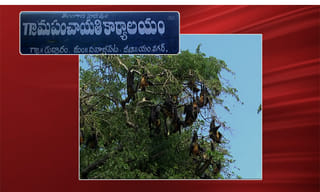 మరో ఆర్టీసీ కార్మికుడి బలిదానం..