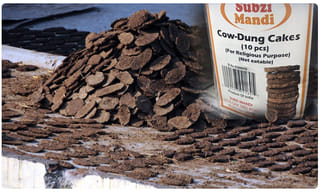 ఈ ఐస్క్రీం ధర రూ. 52,300