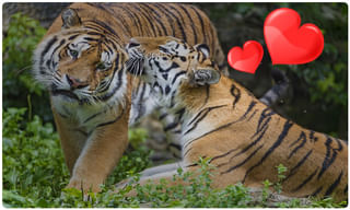 పార్లమెంటులో ‘ దిశ  ‘ ప్రతిధ్వని.. రేపిస్టులకు ఉరే సరి అంటున్న పార్టీలు