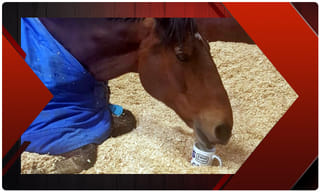 ‘సినీ పరిశ్రమలో తెలుగుకి అధోగతి.. సిగ్గుపడుతున్నా’..!