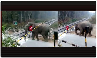 హైవేపై ఉల్లి..పండగ చేసుకుంటున్న జనం