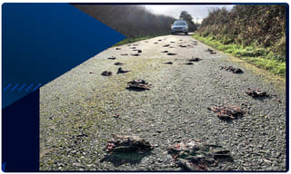 ట్రంప్‌ ట్వీట్‌..గ్రెటా రిటార్డ్‌