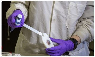 పాము కాటేస్తే.. వైద్యుడు దగ్గరలేకపోతే.. టేక్ దిస్ యాప్‌ హెల్ప్