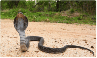 వామ్మో..మూడో అంతస్తు నుంచి కిందపడ్డ బుడ్డొడు..!?