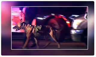 ట్రంప్ ఇన్విటేషన్.. ముఖం చాటేసిన బోరిస్ జాన్సన్.. ఎందుకంటే ?