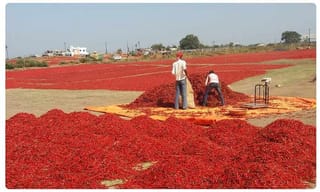 బ్రేకింగ్.. బీసీ గురుకుల హాస్టల్లో ఫుడ్ పాయిజన్‌.. ఏకంగా 40 మంది విద్యార్ధినులకు..