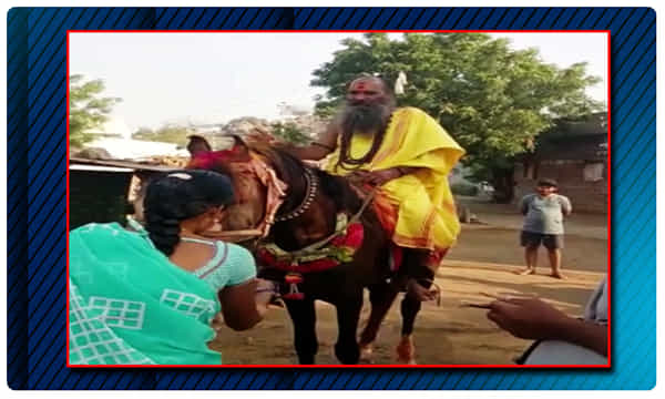 గుర్రం బాబా లీలలు..కోళ్లు కూడా మాయం !