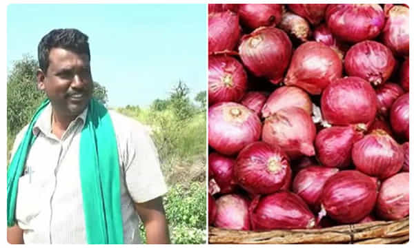 ఉల్లితో వచ్చిన లక్..ఉన్నఫలంగా కోటీశ్వరుడిగా మారిన రైతు
