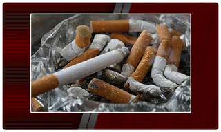 డాలర్స్‌ కట్టలతో కుర్చీ..చూసి మురిసిపోవలసిందే..